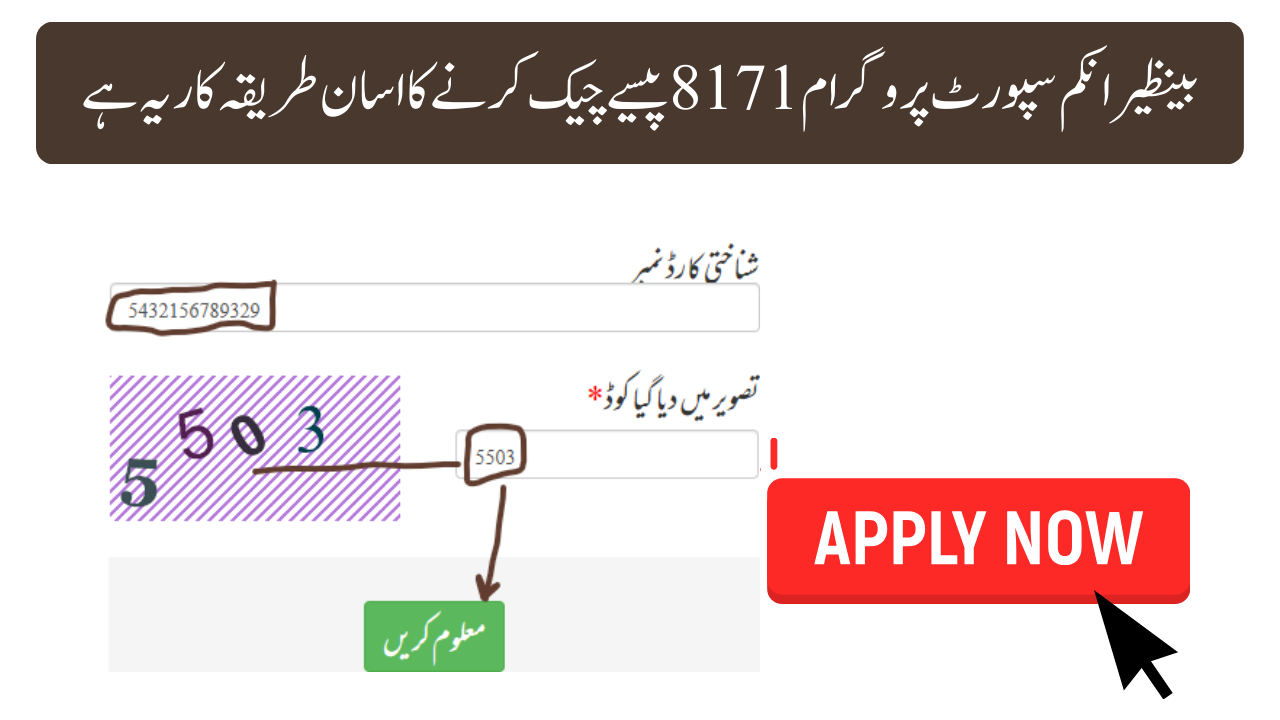 2026 بینظیر انکم سپورٹ پروگرام 8171 پیسے چیک کرنے کا طریقہ