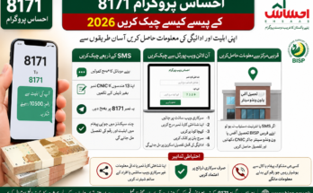 احساس پروگرام 8171 کے پیسے کیسے چیک کریں 2026