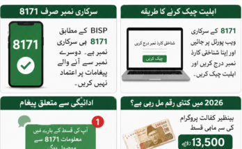 احساس پروگرام رقم چیک کریں 2026