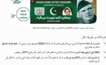 بینظیر انکم سپورٹ پروگرام نئی قسط آن لائن چیک اگست 2026